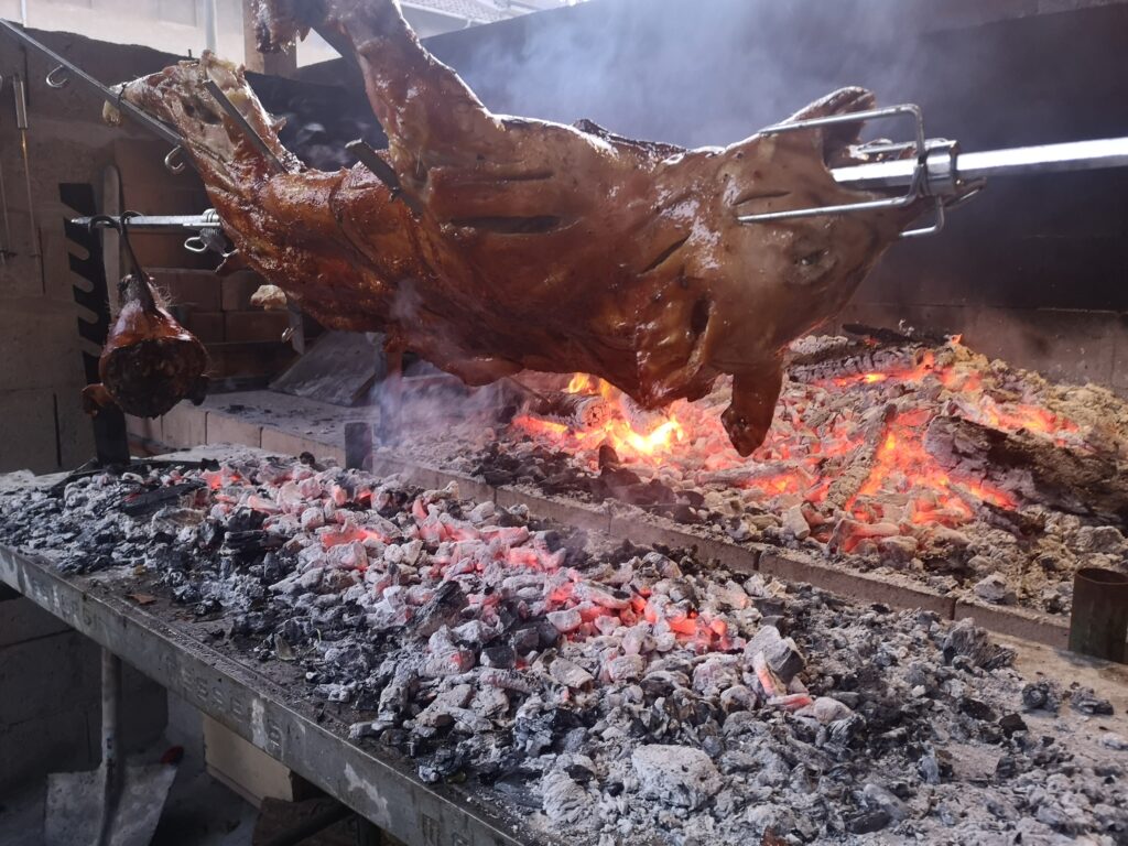 maialino1